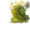 brain_node_4