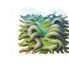 capital_wilderness_3