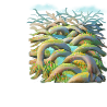 capital_wilderness_4