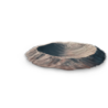 holding_experimental_crater