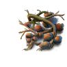 subterranean_cache