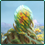 decision_wilderness_build_colony_ship