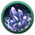 GFX_lithoidsspeciespack
