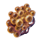 GFX_mutation_virulent_cysts