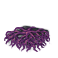 GFX_neurochips_default