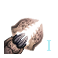 GFX_ship_part_mandible_1