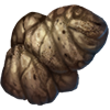 GFX_specimen_coprolite