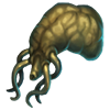 GFX_specimen_desiccated_brain_slug