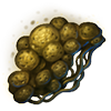 GFX_specimen_extradimensional_fungus