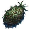 GFX_specimen_symbiotic_fruit